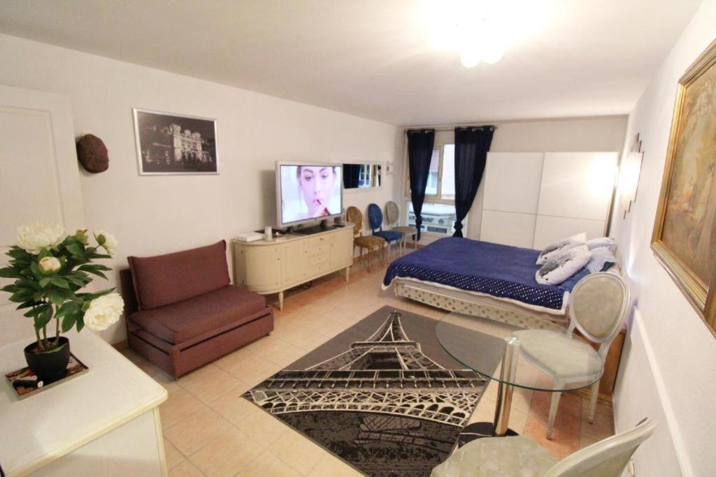 Apartment Monaco A 300m Du Casino - Grand Avec Piscine *